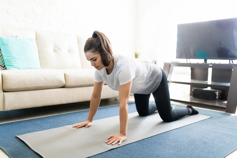 cat cow exercise for treating leak pee cat cow exercise for treating leak pee
