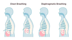 Belly Breathing