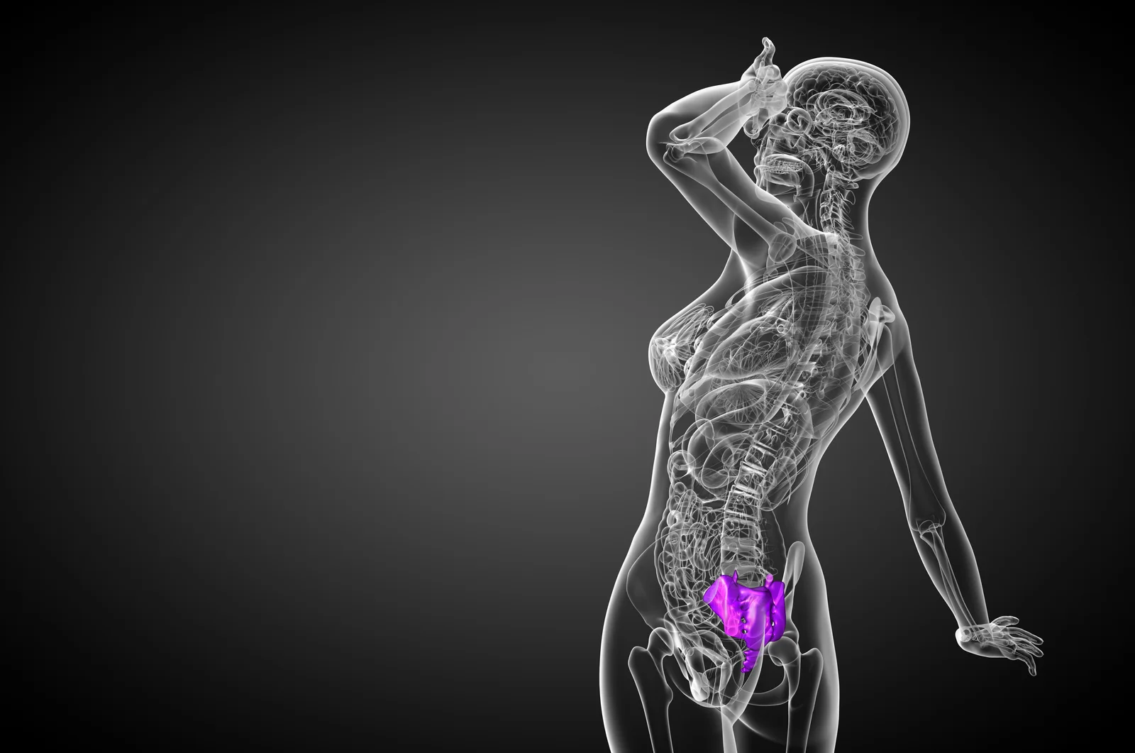Coccyx