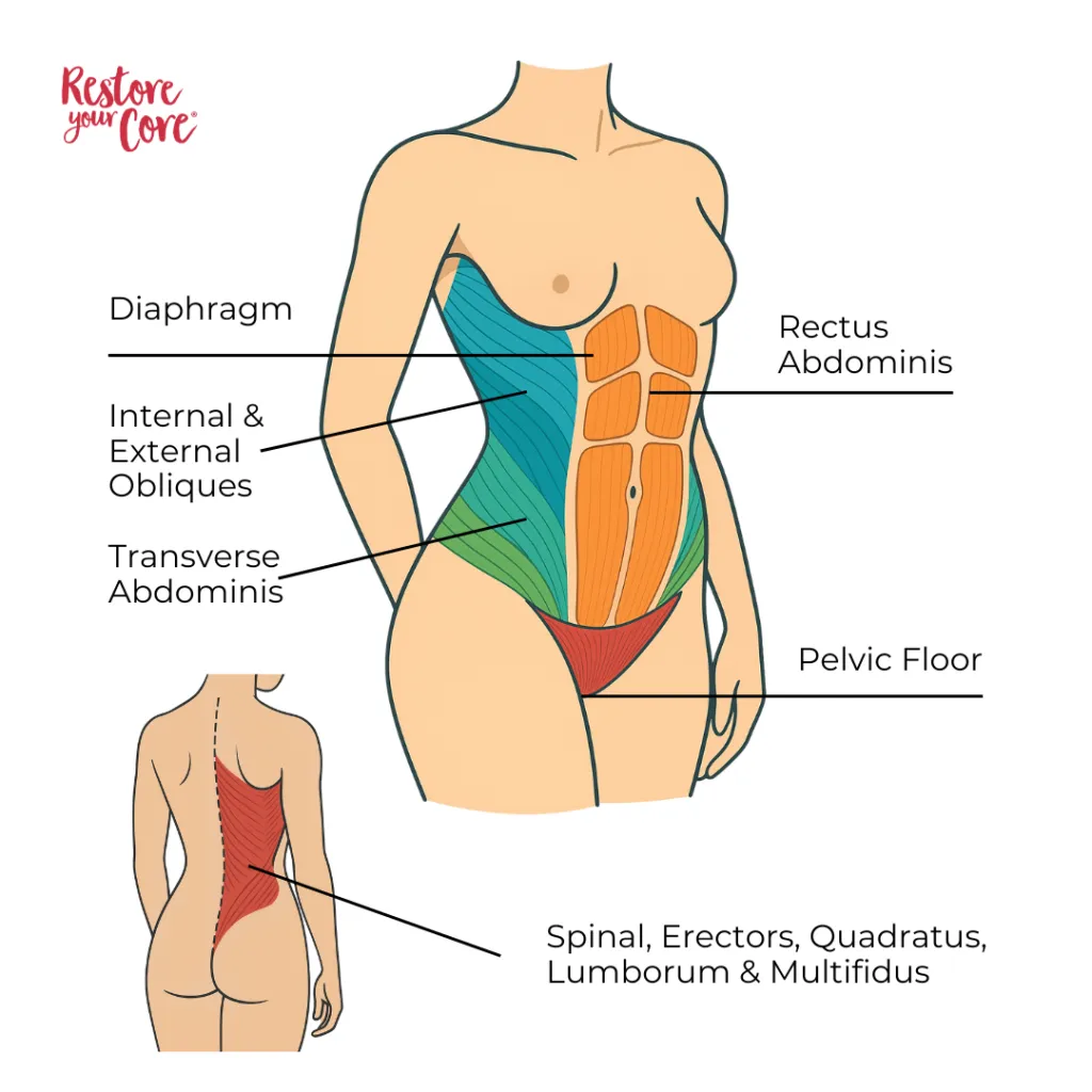 Anatomy of the Core — RYC®