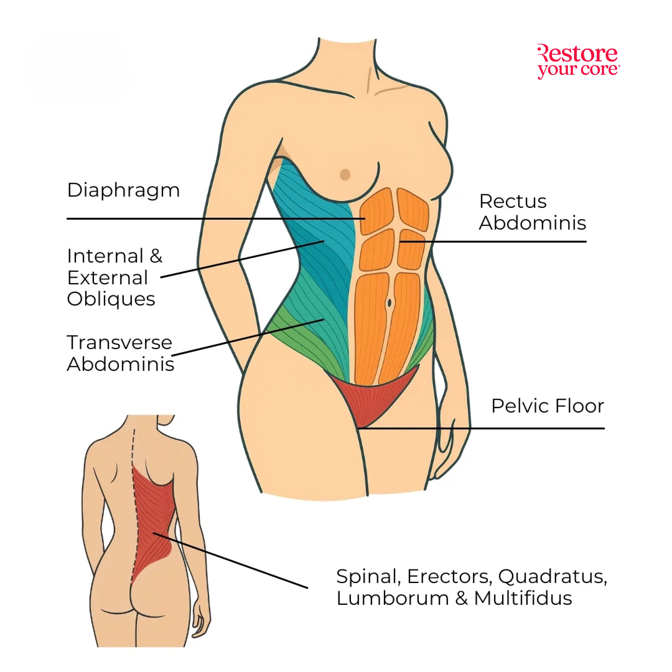 Anatomy of the Core — RYC®