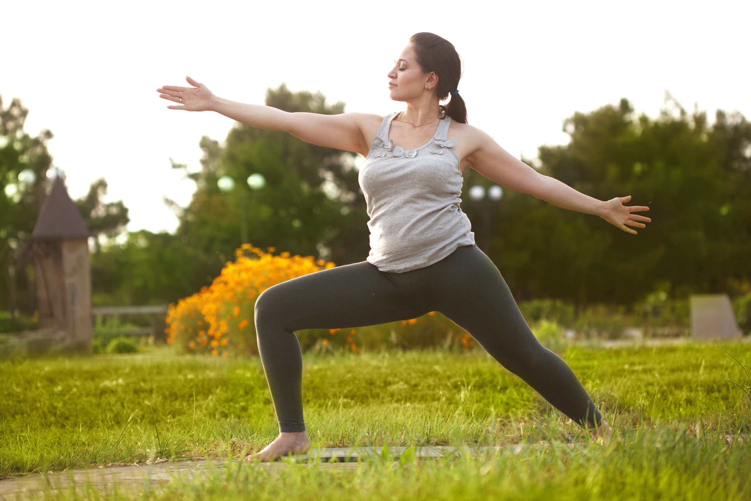 Top Diastasis Recti Program – RYC®
