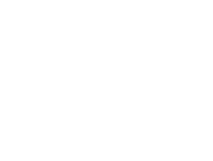 Elephant (2)