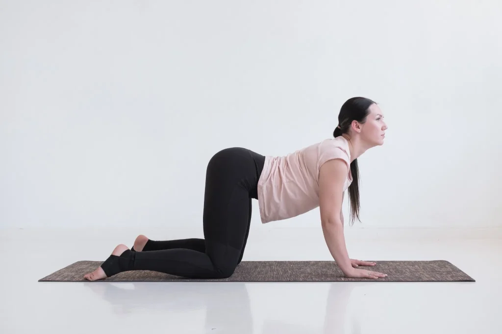 Best Pelvic Floor Program – RYC®