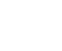 FOX NEWS WHITE 1